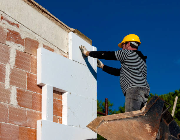 Best Energy-efficient Insulation  in Pickens, SC