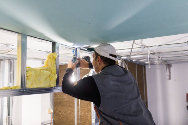 Best Insulation Inspection Services  in Pickens, SC