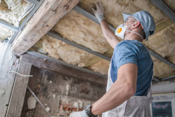 Best Commercial Insulation Contractor  in Pickens, SC