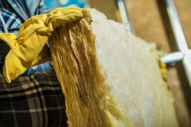 Best Soundproof Insulation Installation  in Pickens, SC