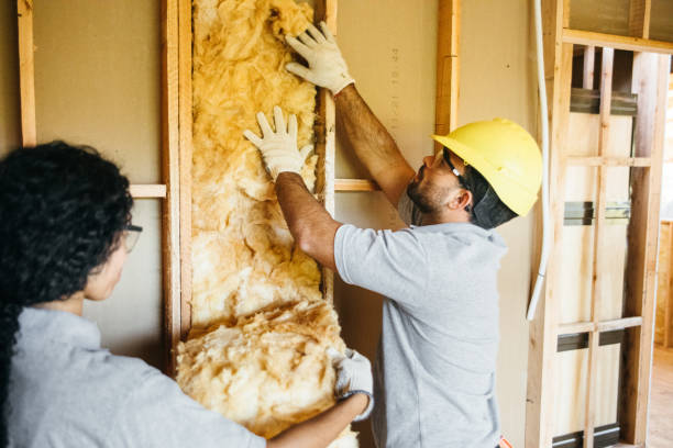 Insulation Inspection Services in Pickens, SC