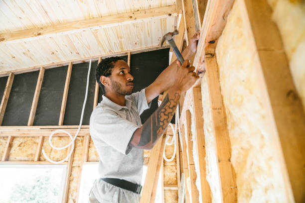 Best Insulation for New Construction  in Pickens, SC
