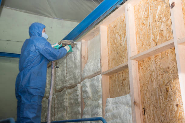 Professional Insulation Contractor in Pickens, SC
