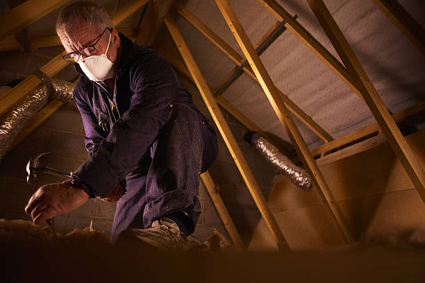 Best Insulation Inspection Services  in Pickens, SC